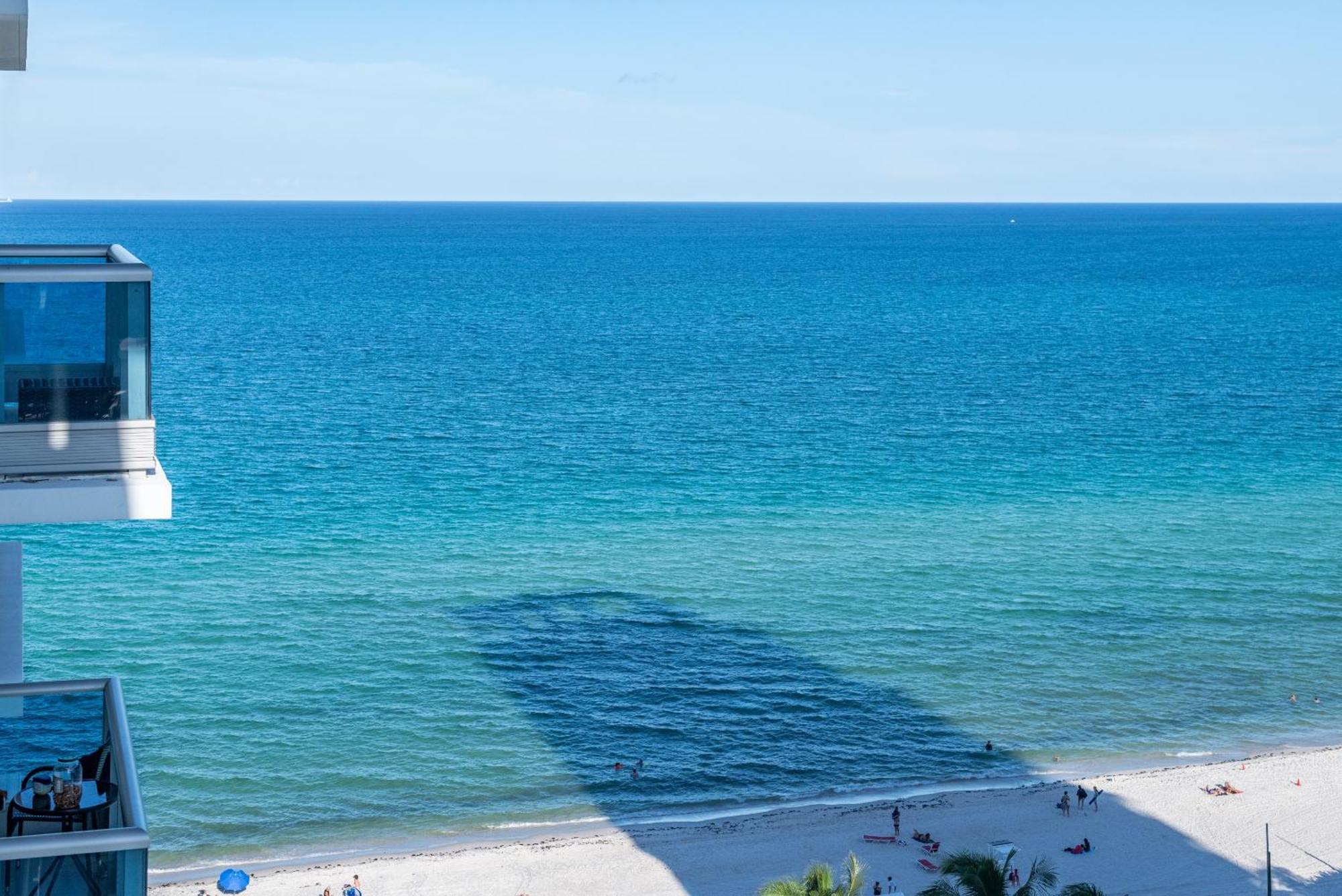 Bluebird Suites Monte Carlo Miami Beach Zimmer foto